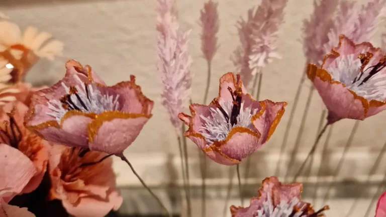 Johanne konfirmation